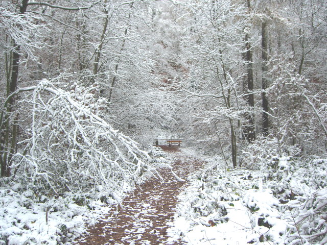 Syhra 2007