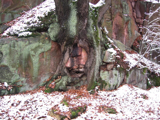 Syhra 2007
